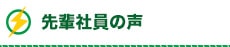 先輩社員の声