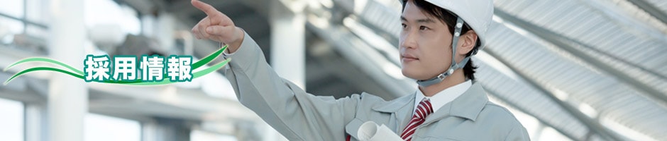 採用情報