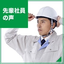 先輩社員の声