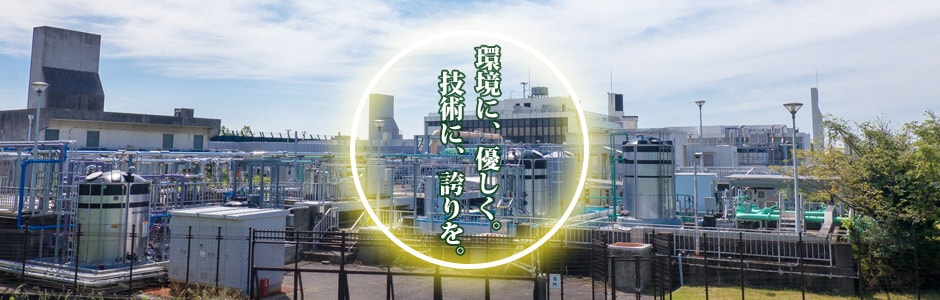 3枚目